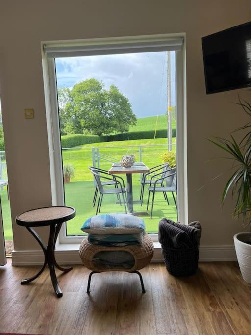 Adorable One Bedroom Apartment With Balcony Newtownards Luaran gambar